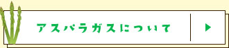 アスパラガスについて