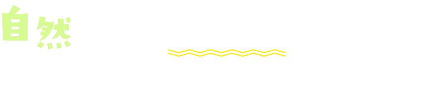 自然あふれる「壱岐島」で育てたみずみずしいアスパラガス