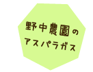 野中農園のアスパラガス