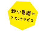 野中農園のアスパラガス