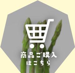 商品ご購入はこちら